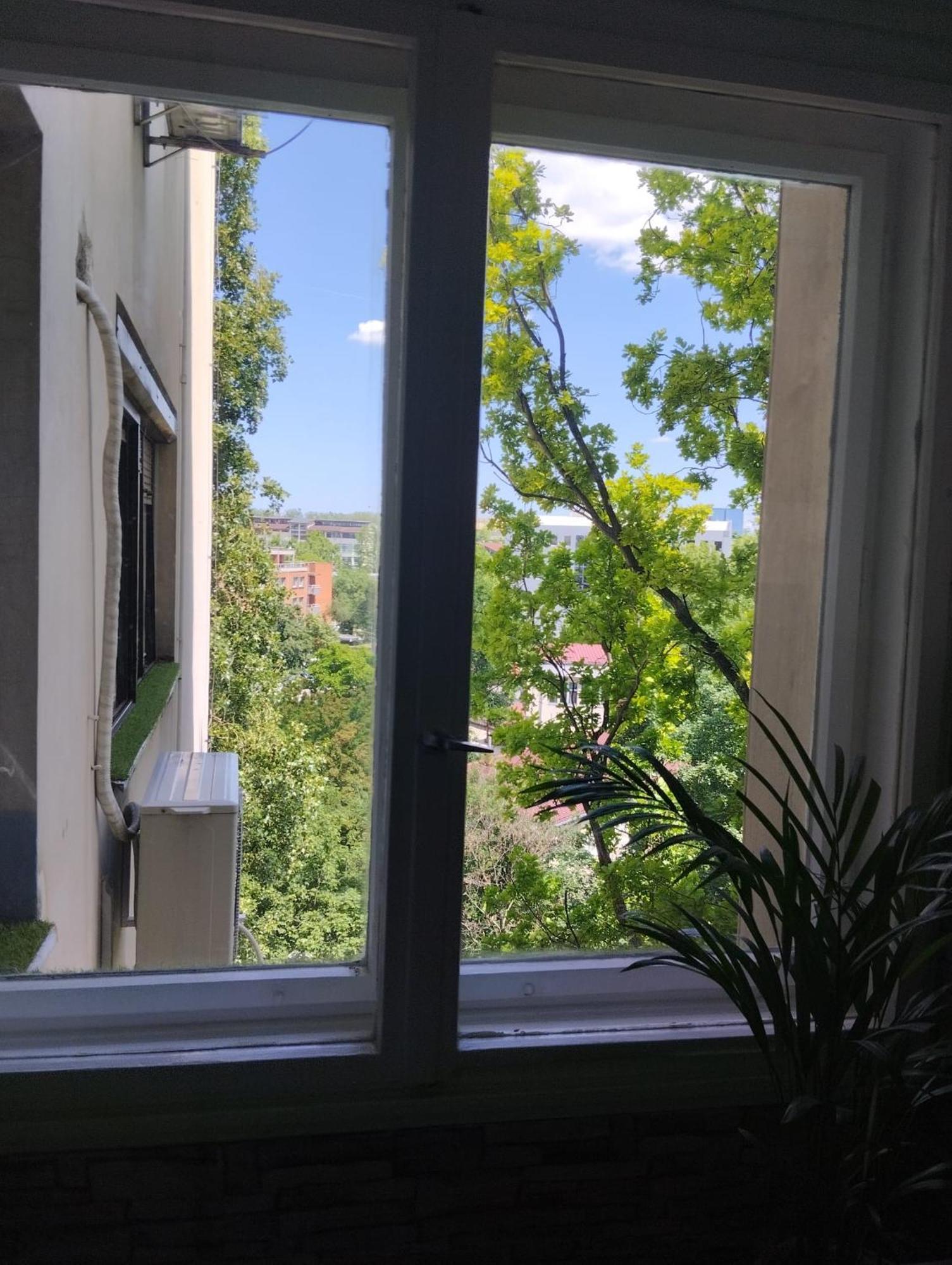 Apartment Liman1 Novi Sad