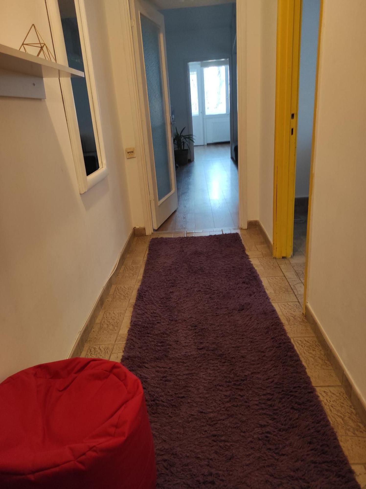 Apartment Liman1 Novi Sad
